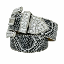 Classic-Silver Coiled Serpent/Silver Chrome - B.B. Simon® 7 Classic-Silver Coiled Serpent/Silver Chrome - B.B. Simon® -B.B Simon IMG 0183 3S 3000 W35 Chrome SF