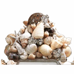 BB Simon Designer Luxury Diamond Mirrors 7 BB Simon Designer Luxury Diamond Mirrors -B.B Simon products m 301 bb simon clear gold home mirrors 3 1